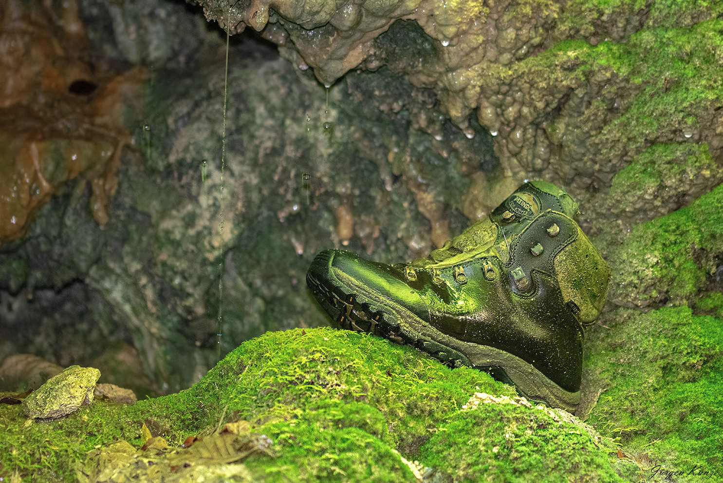 Der Wanderschuh