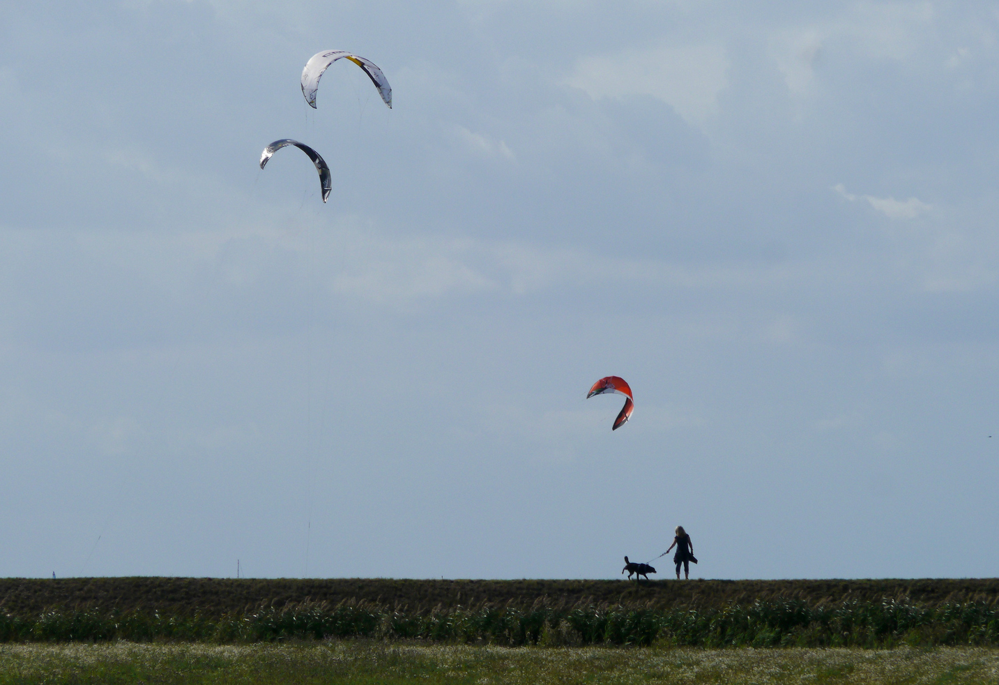 Deichlandschaft auf Fehmarn