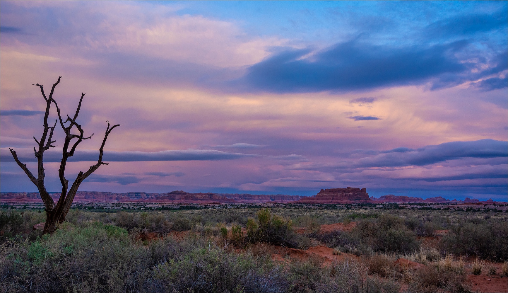 °°° Canyonlands °°°