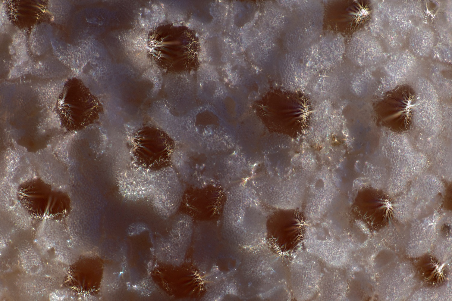 Sternensand ( Hoshisuna)