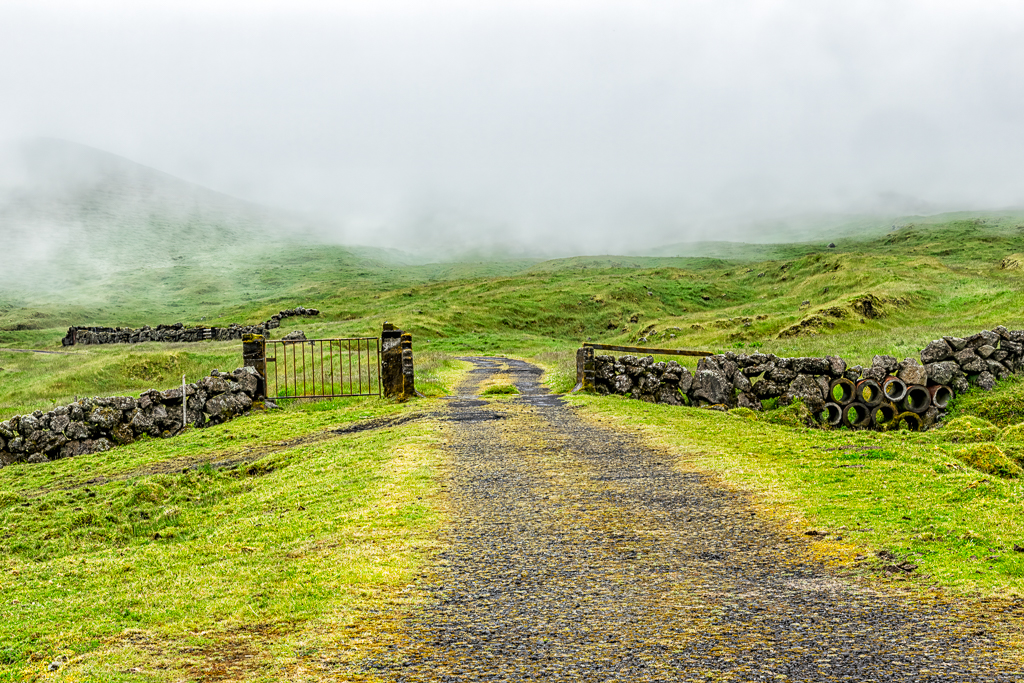 Der Weg