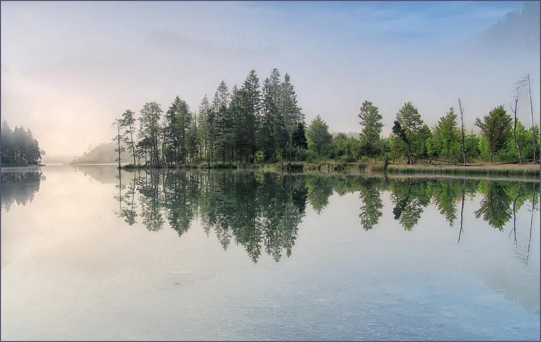 *Morgennebel*