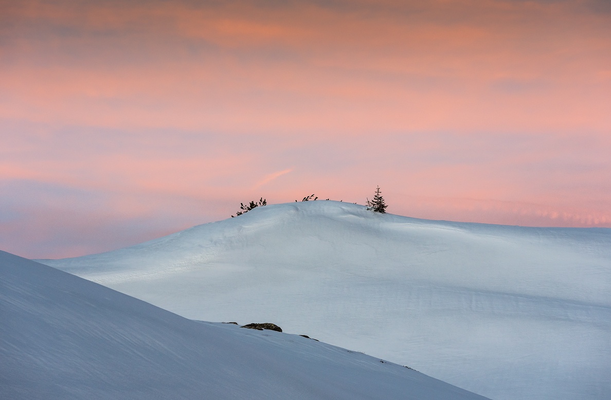 Der erste Schnee