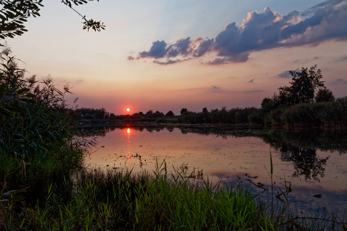 Am Abend eines heißen Sommertages