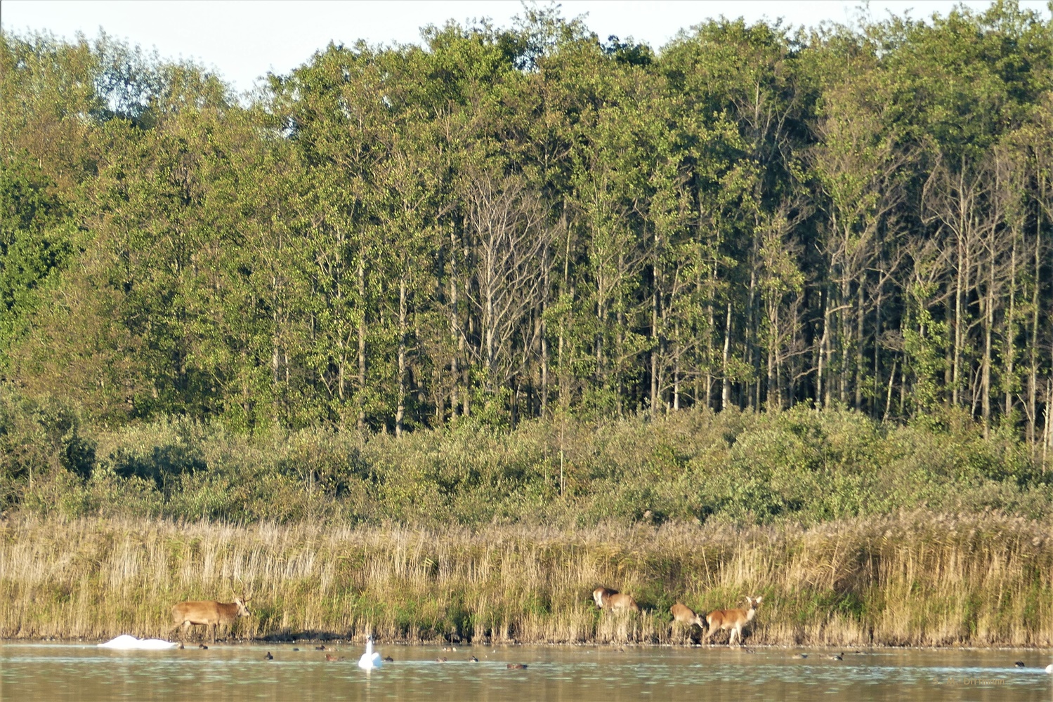 quer über den See