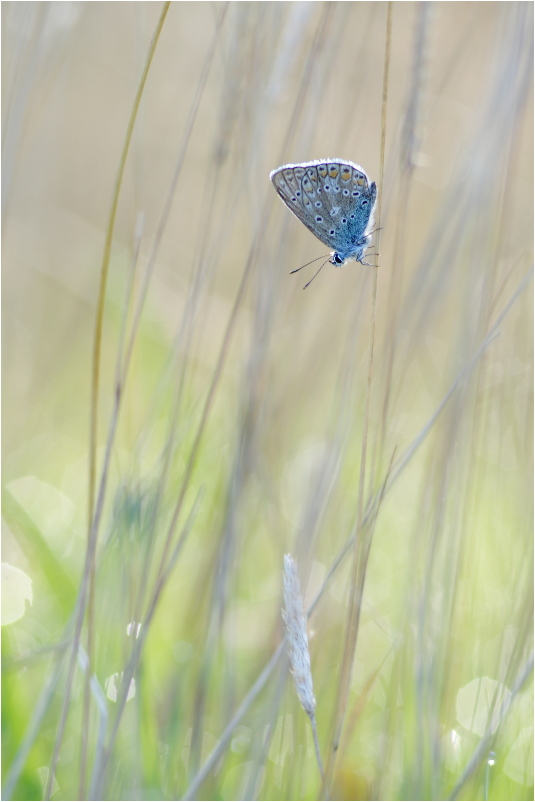 Ein Spätsommermorgen