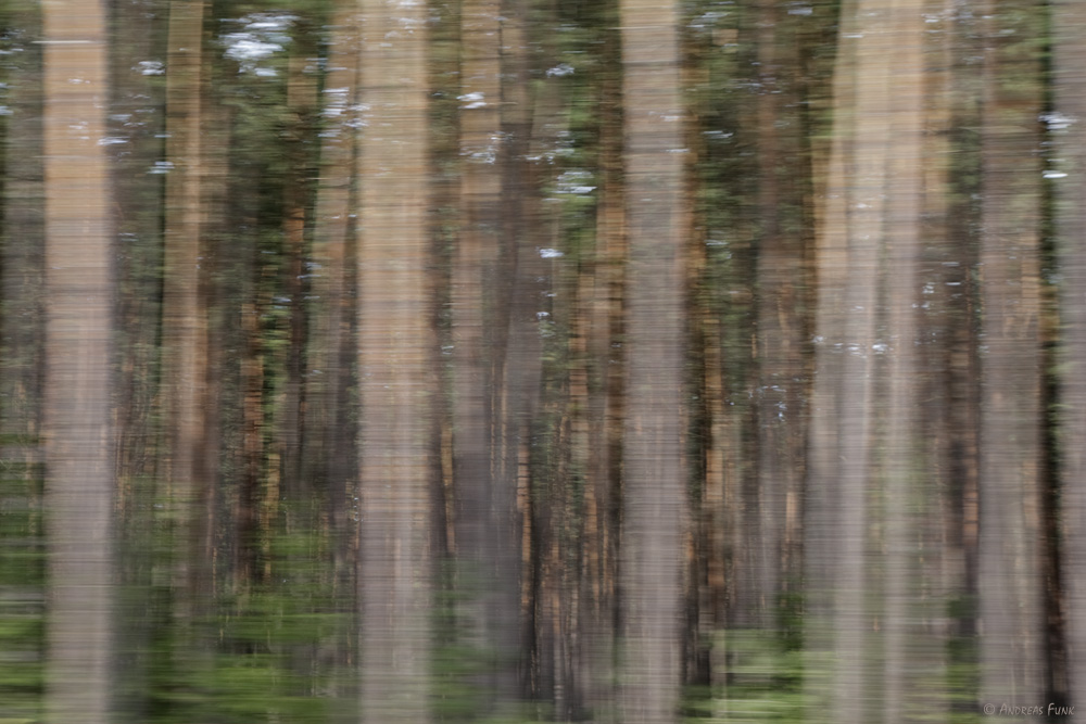 Drive by shooting