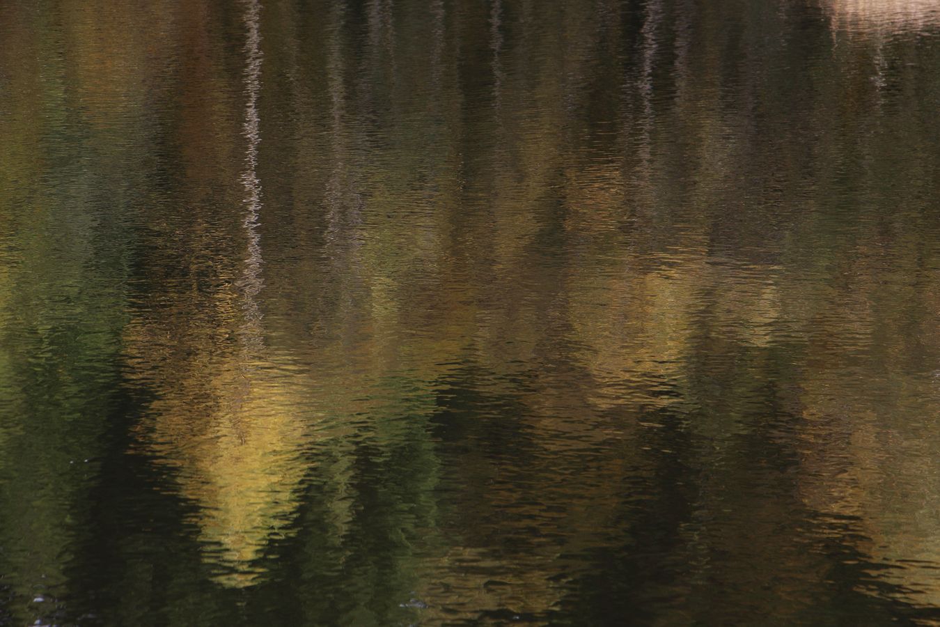 Herbstfarben-Aquarell