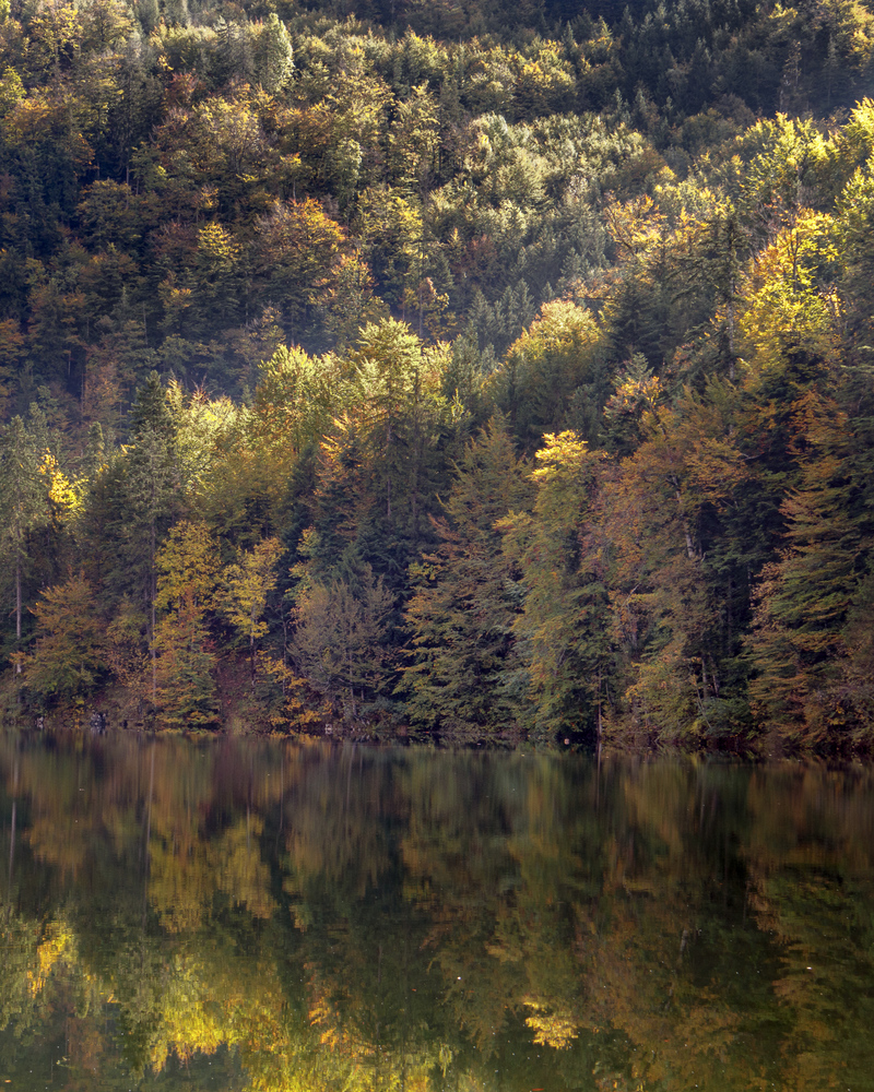 Herbstlicht
