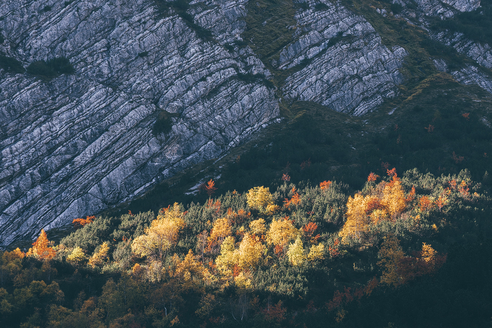 Herbstfarben