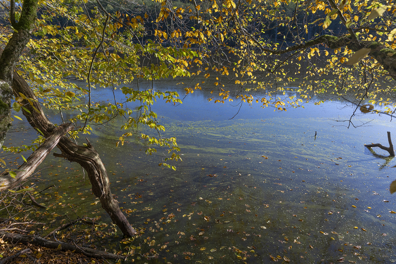 Herbststimmung in der Ajoie