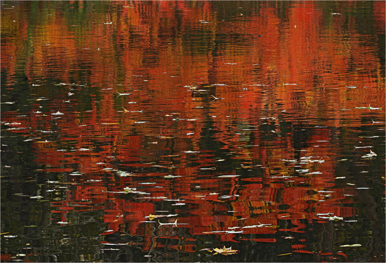 Herbstspiegelung