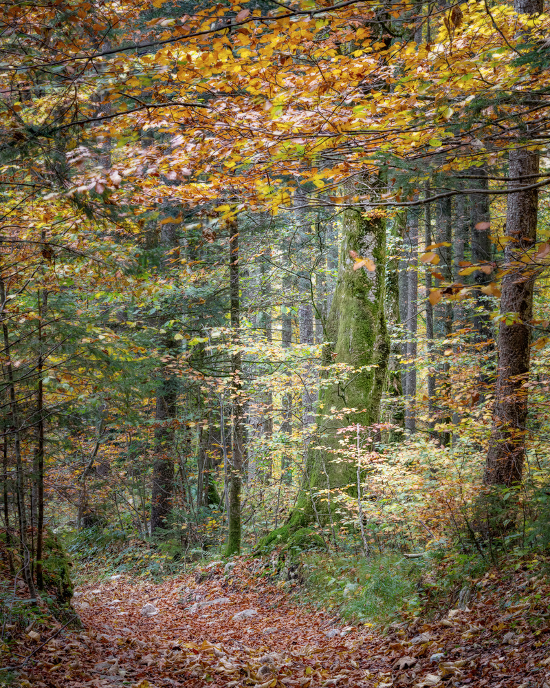 Farbenspiel