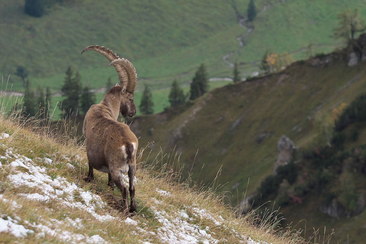 Blick ins Tal