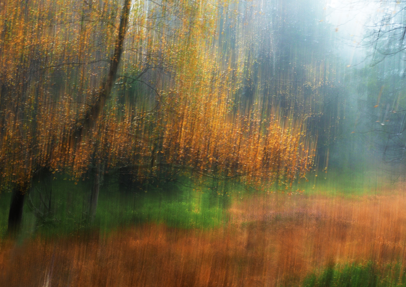 Herbst in den Vogesen