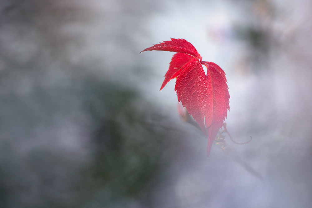 Herbstfarben