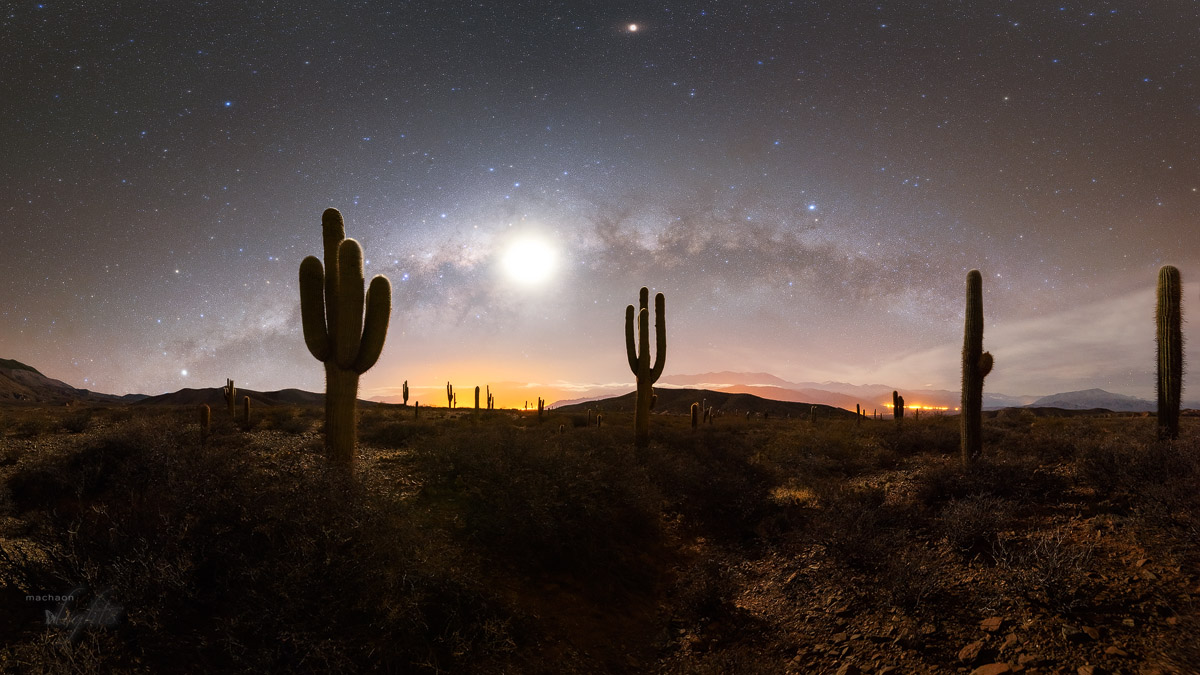 La Luna y Los Cardones