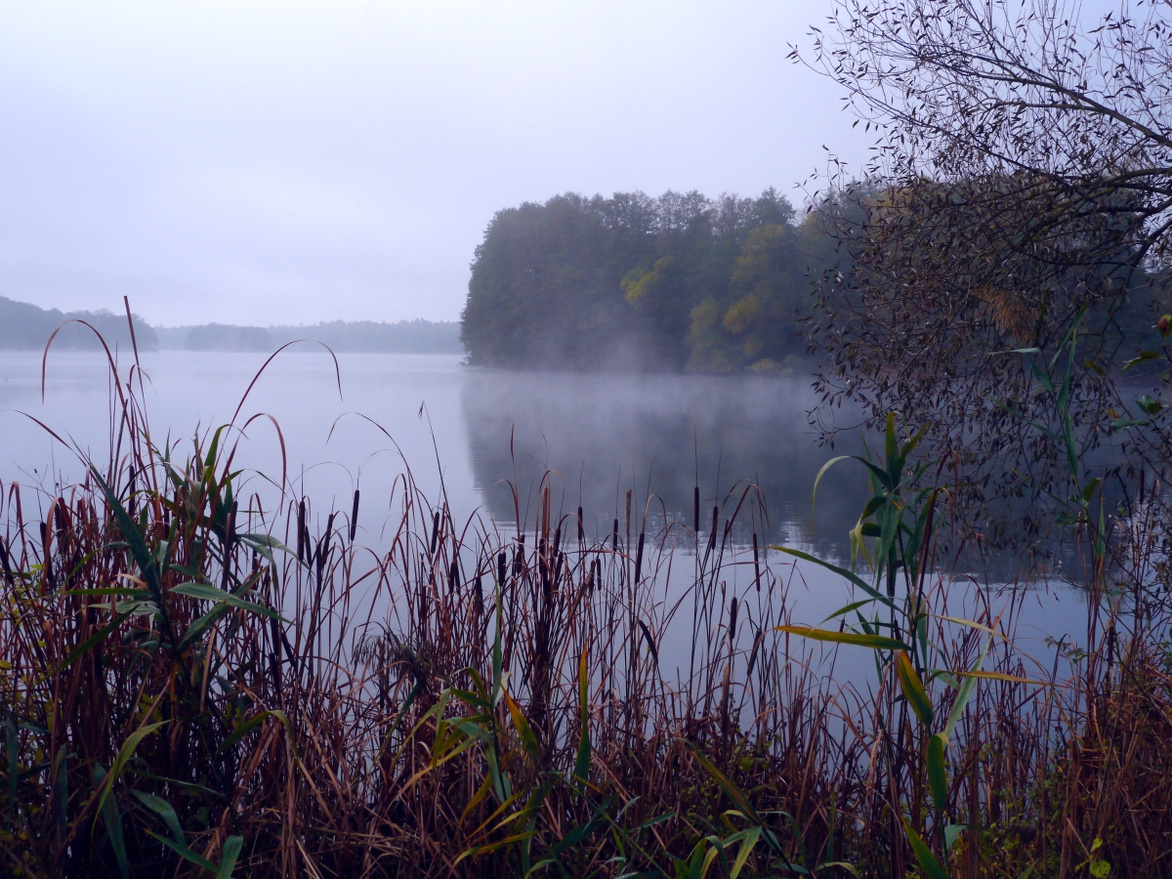 Nebel auf dem Großglienicker See