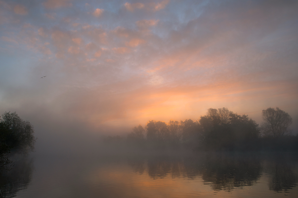 aktuelles vom Fluss