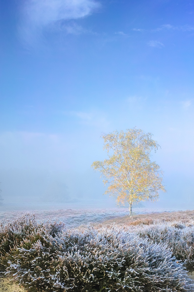 Frostiger Morgen