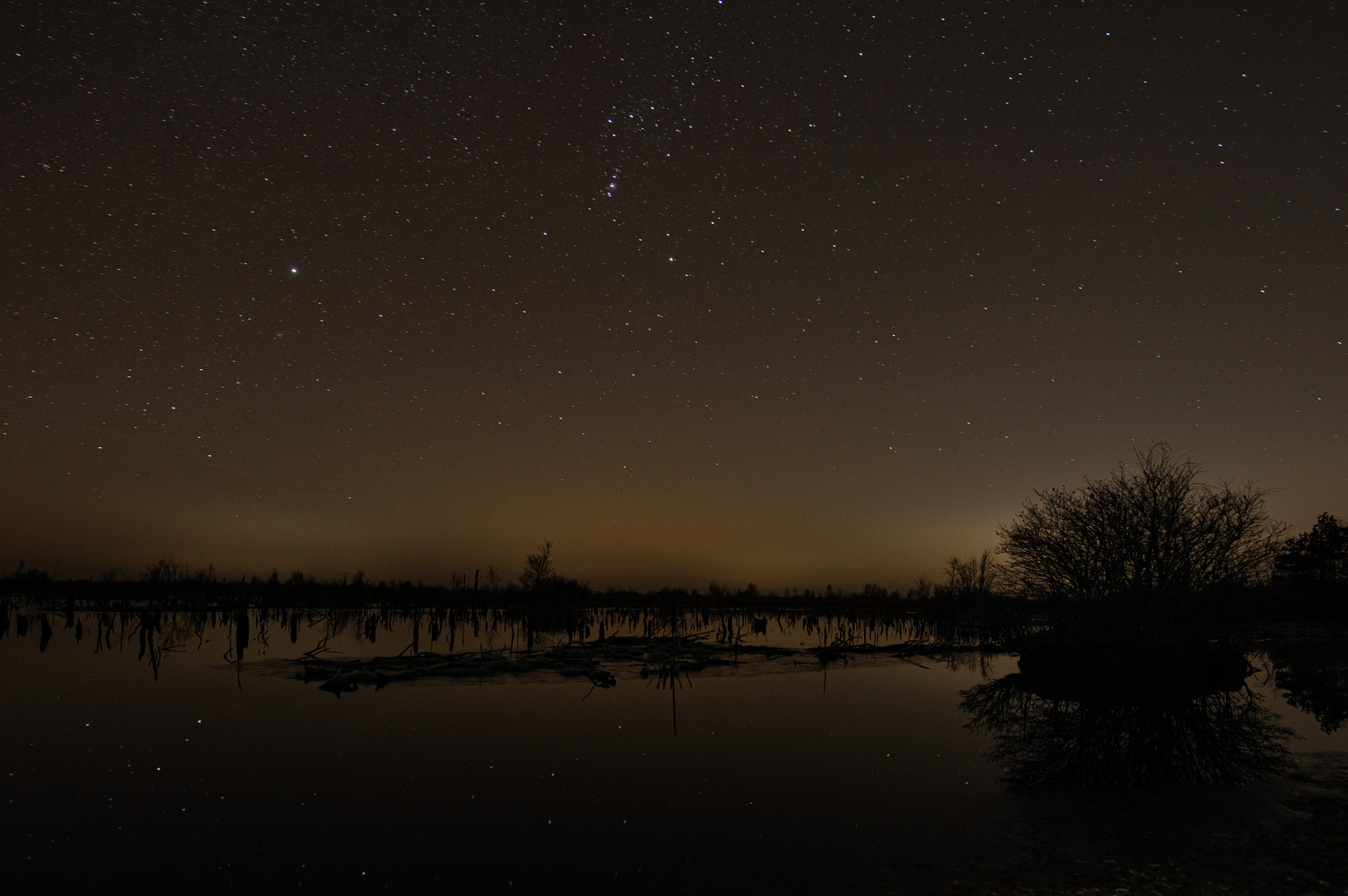 ___Nacht im Moor II___