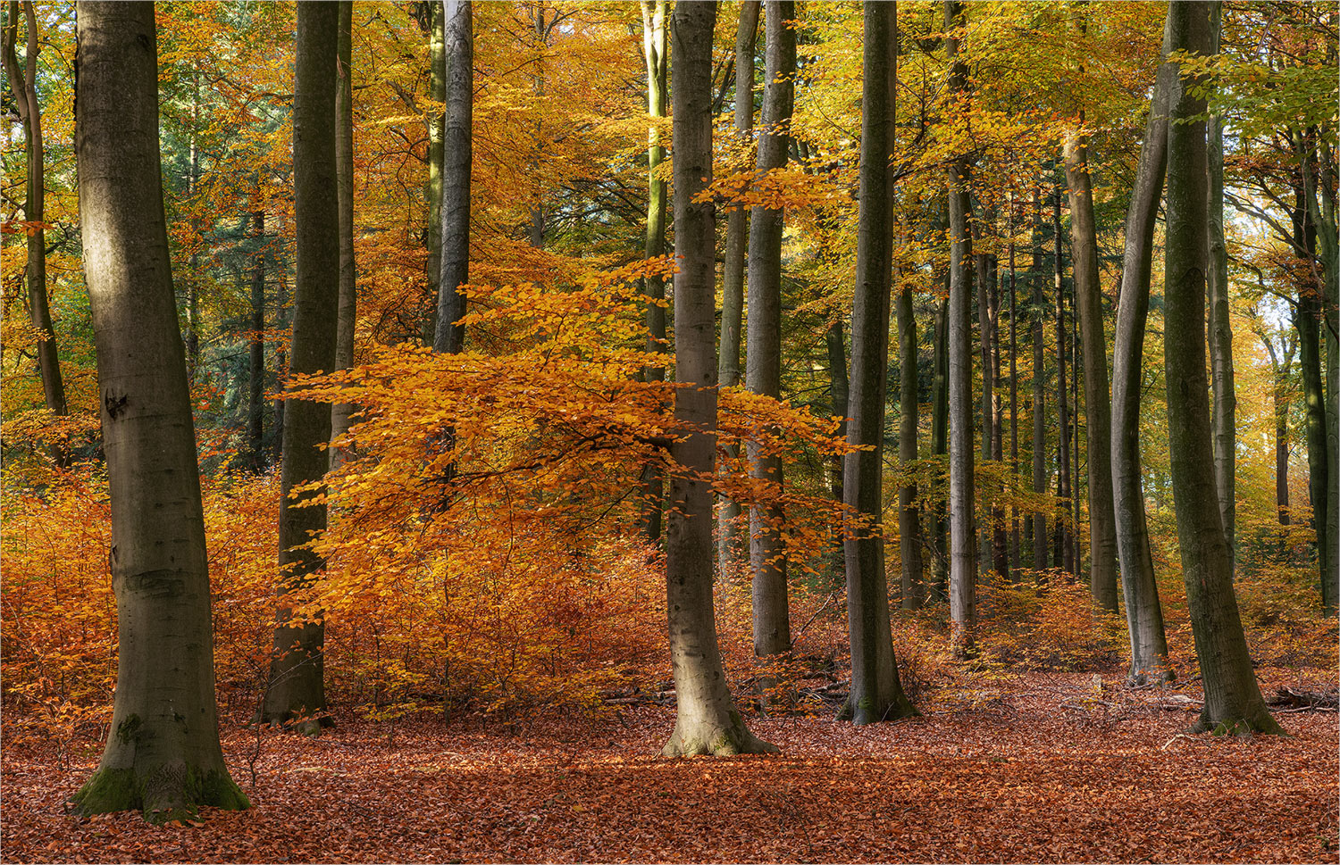 schön bunt