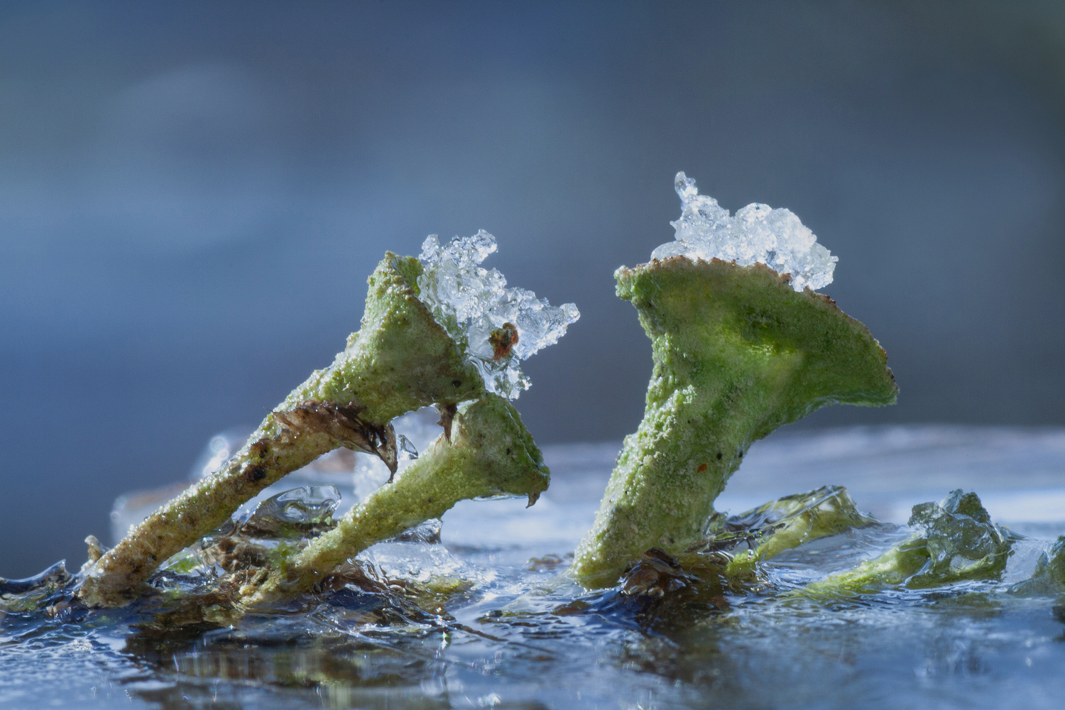 Eiszeit