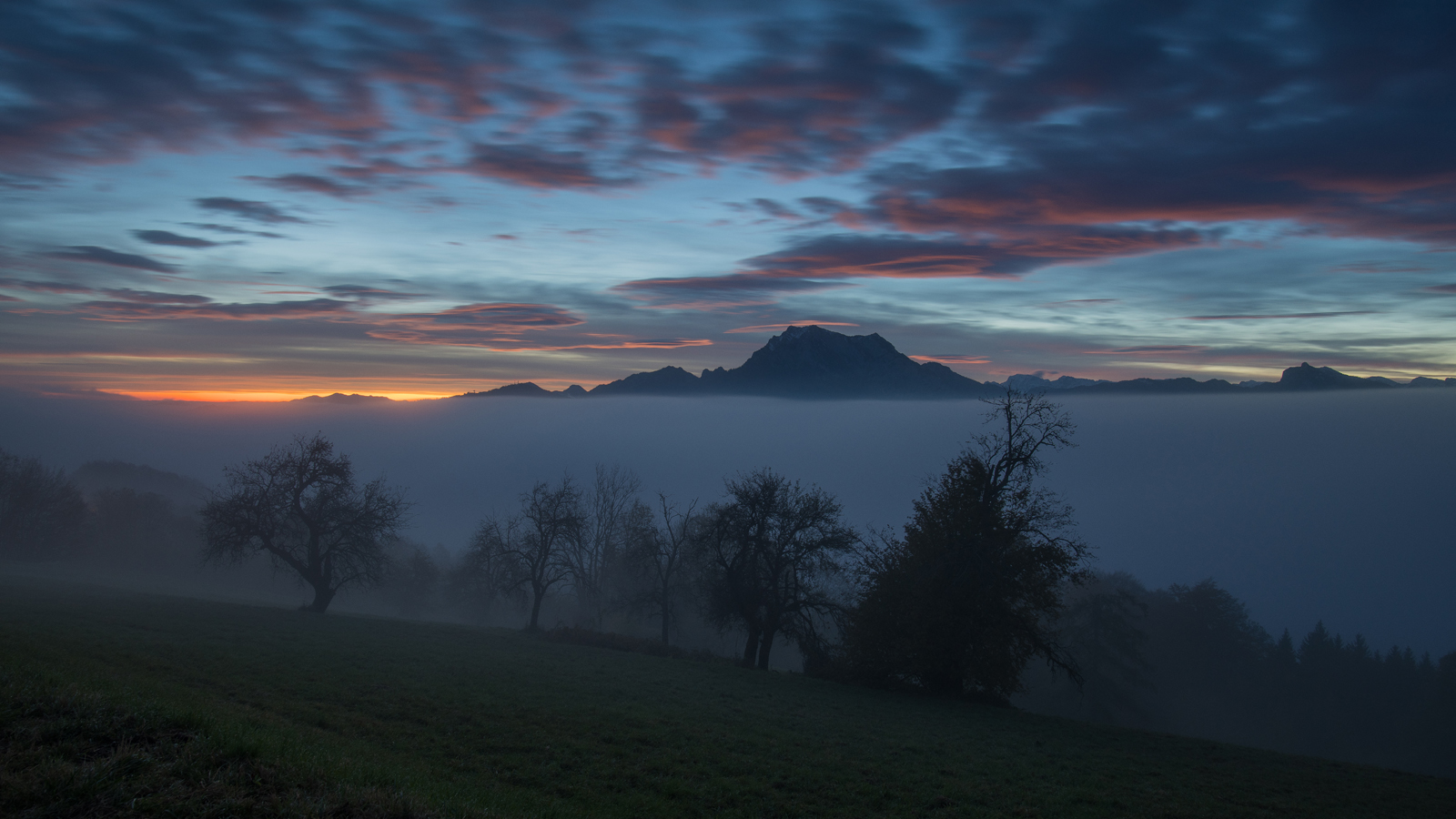 An der Nebelgrenze