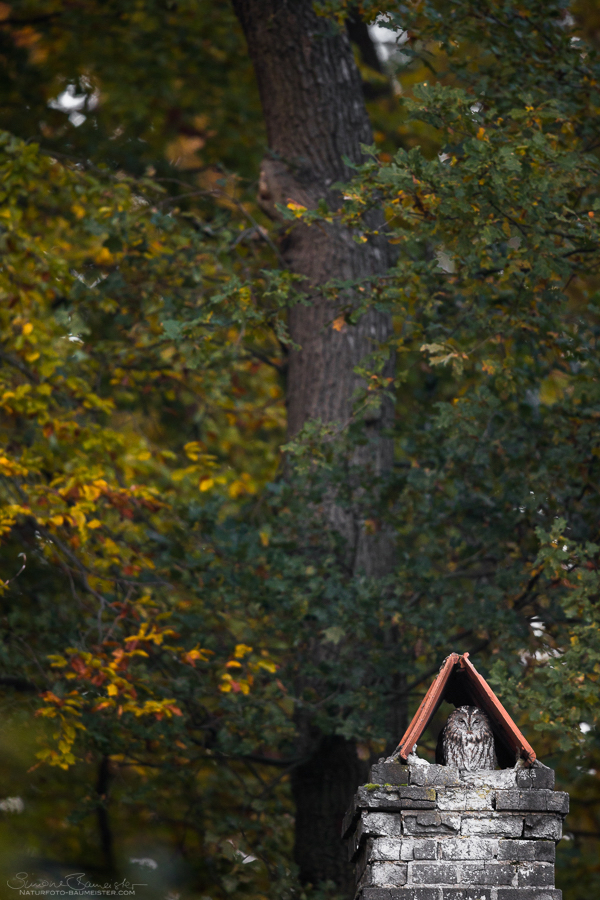 Platz ist in der kleinsten Hütte