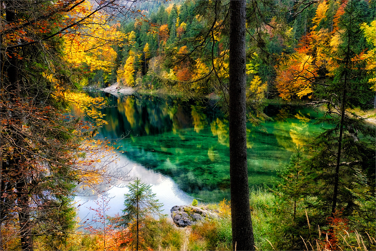 Die Farbpalette des Herbstes