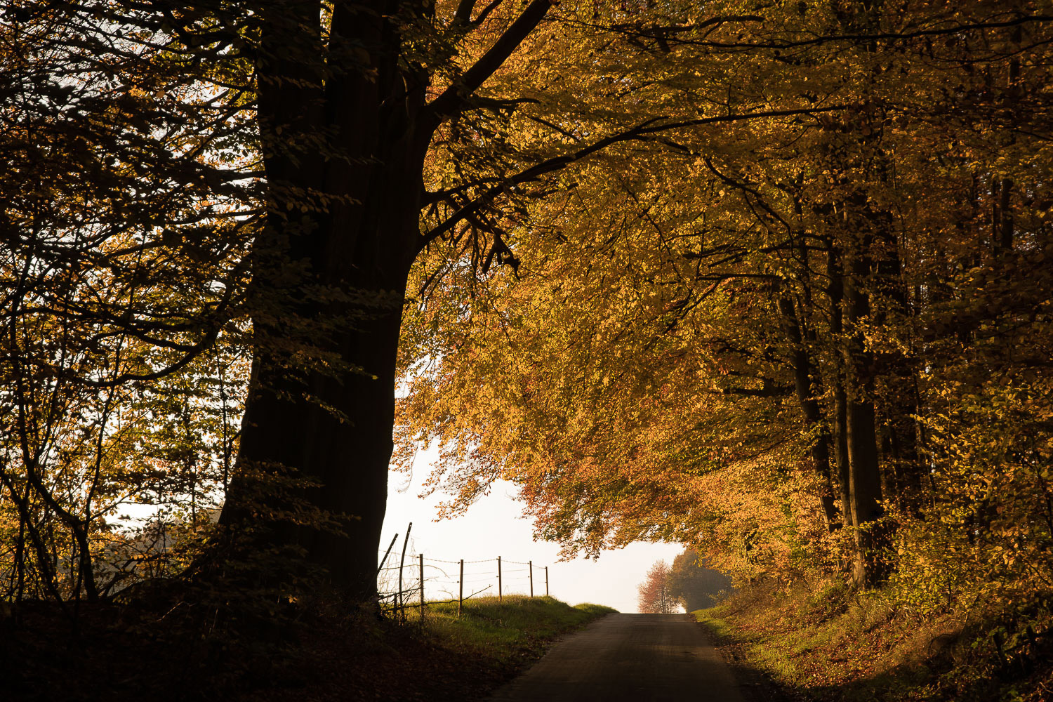 Licht und Schatten