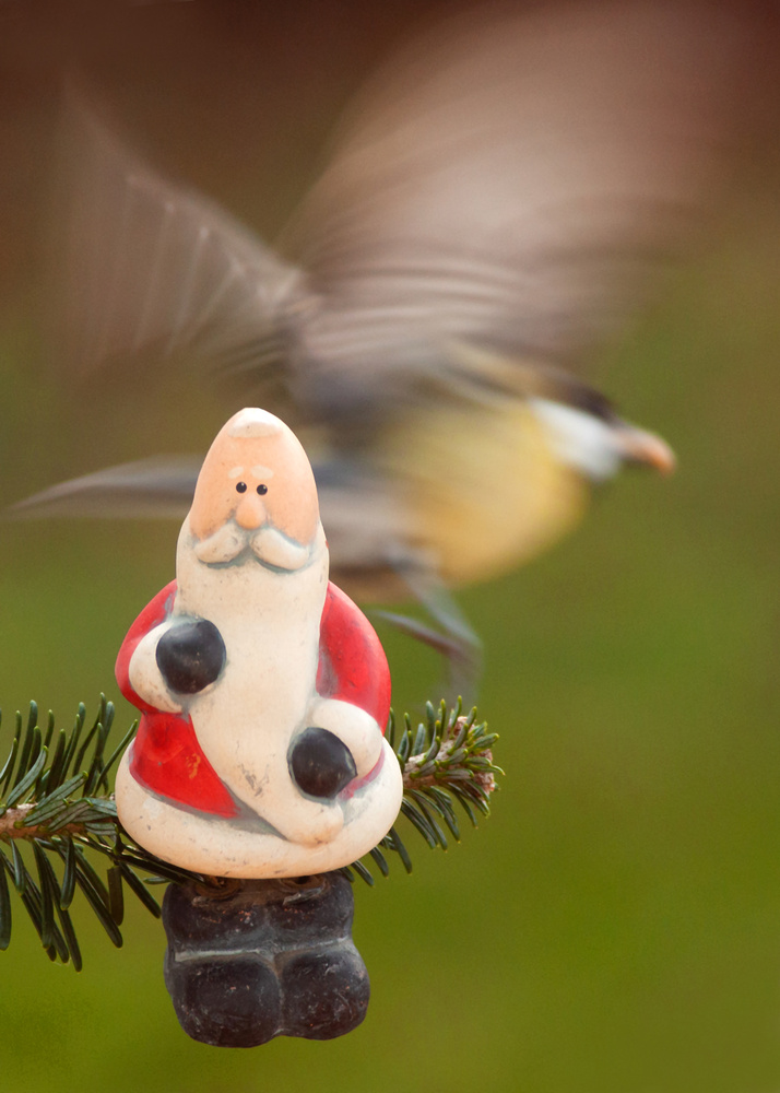 Erzähl das mal dem Weihnachtsmann!
