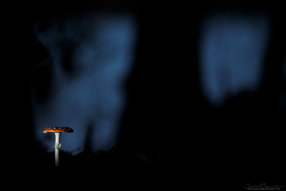 Beim Gnom brennt noch Licht