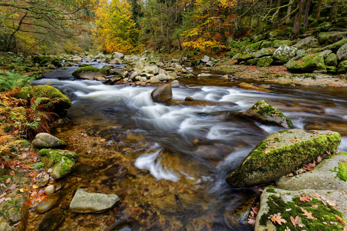 Herbst an der Murg