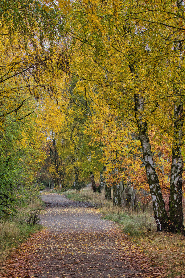 Herbstspaziergang