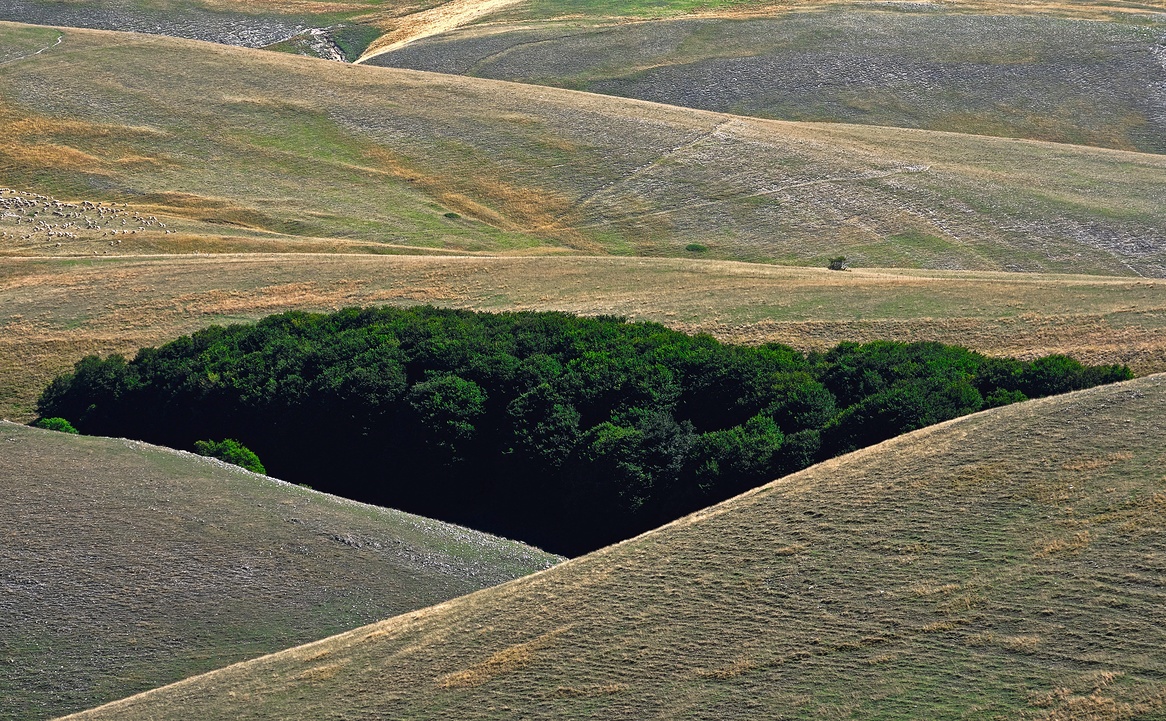 Sanfte rauhe Landschaft