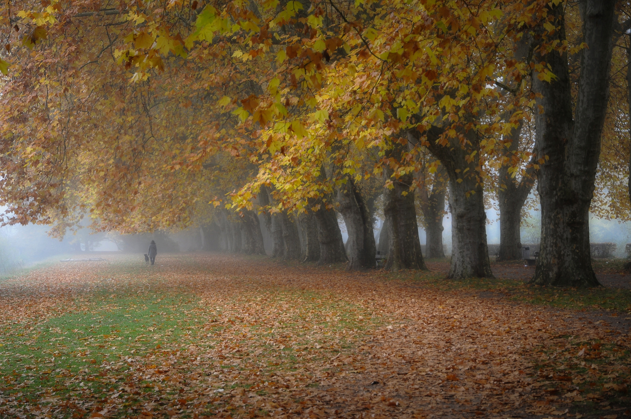 Herbsttag