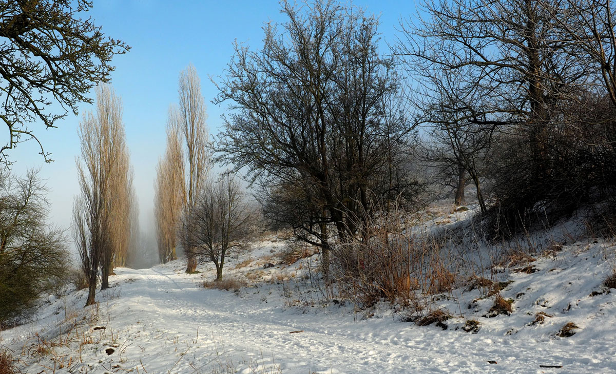 Frost und Nebel