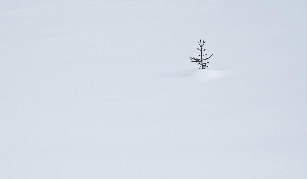 Stille Zeit
