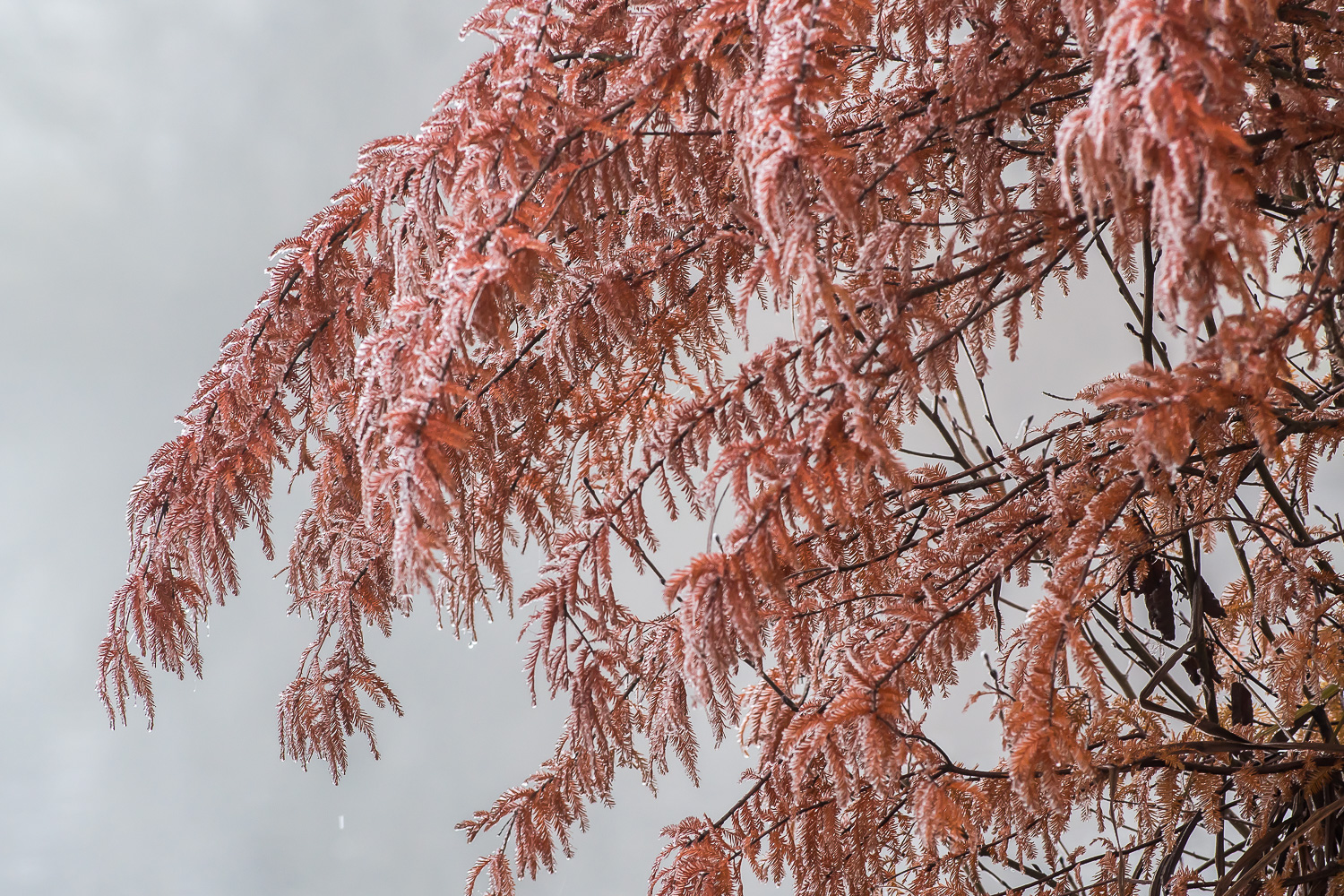 Schietwetter
