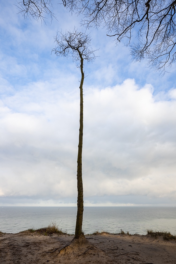 Sehnsucht nach Blau