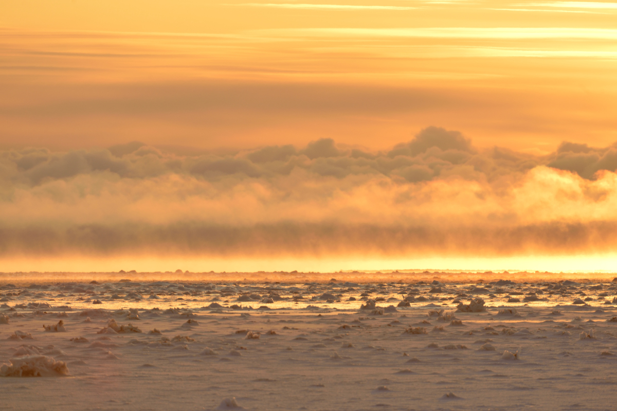 Sonnenaufgang über der Hudson Bay