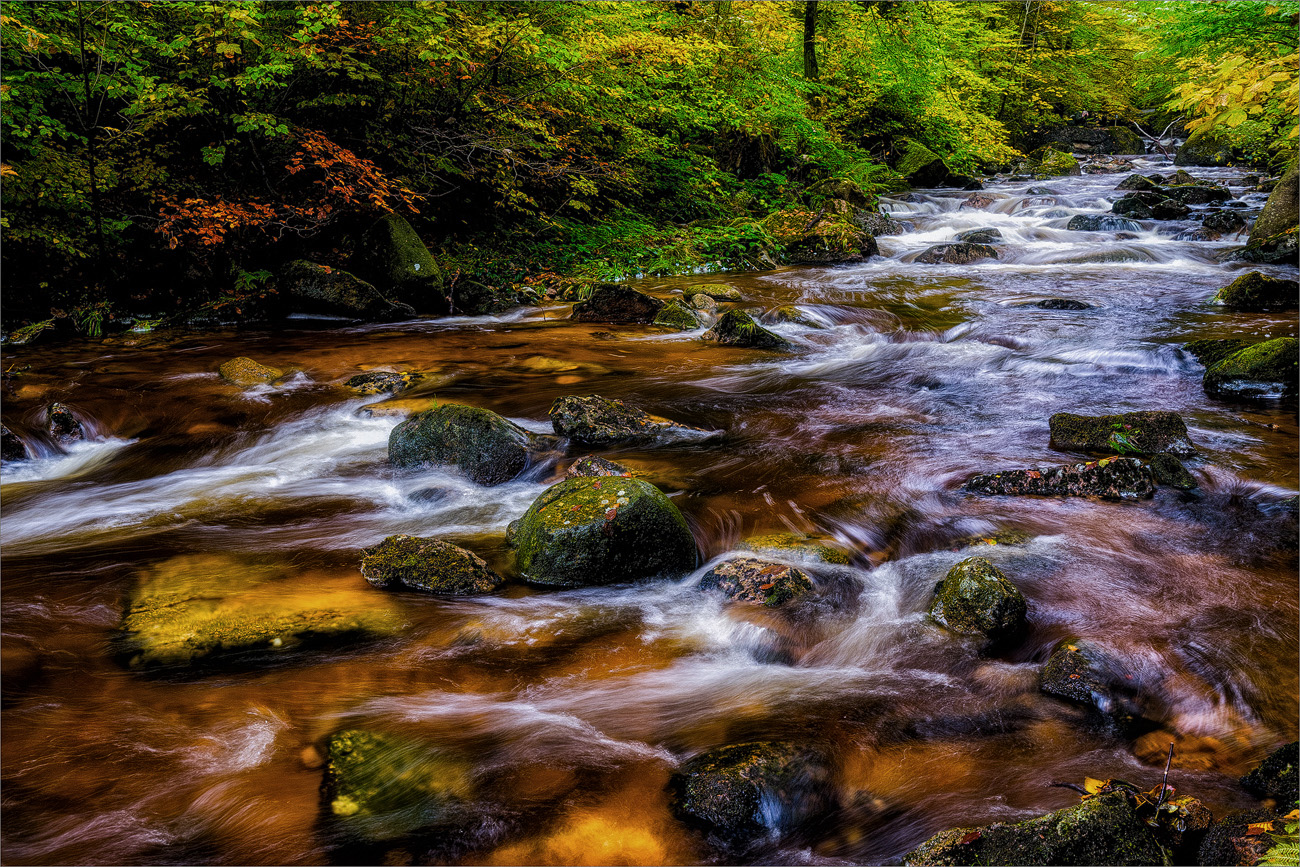 Laut plätschert die Ilse (Forum für Naturfotografen)