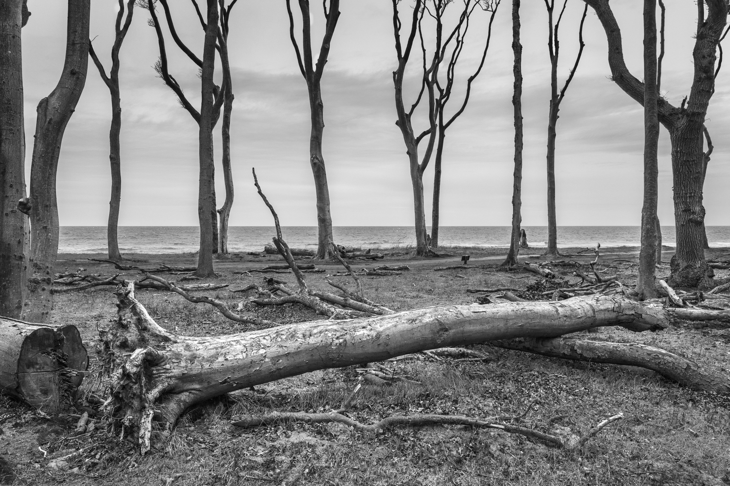 Strandkulisse