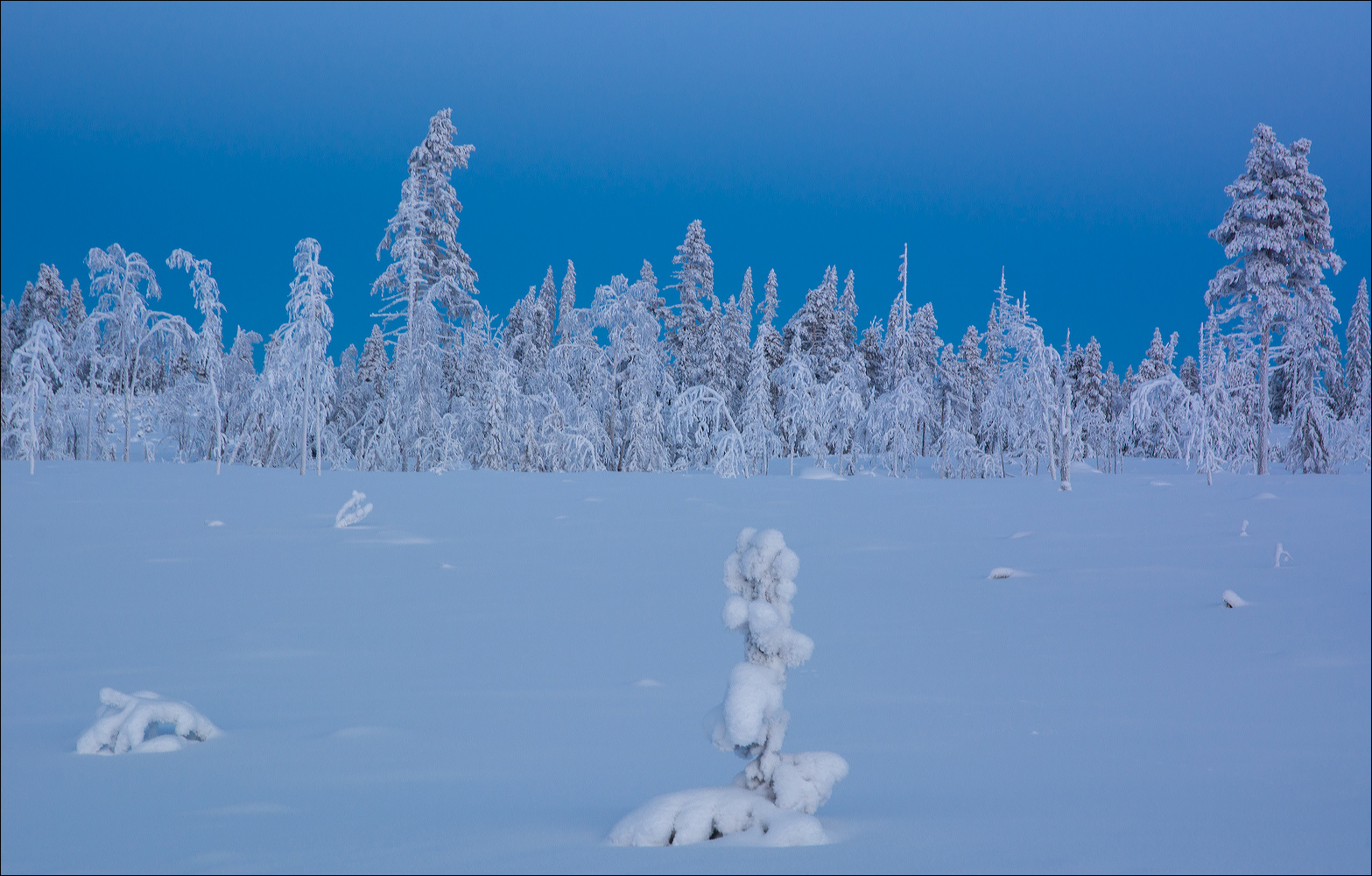 °°° Blau °°°