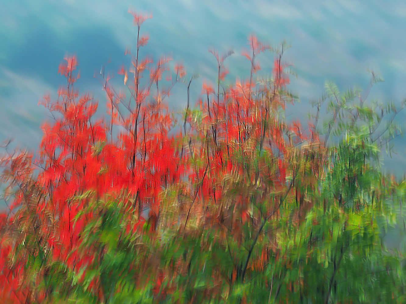 Rot und grün