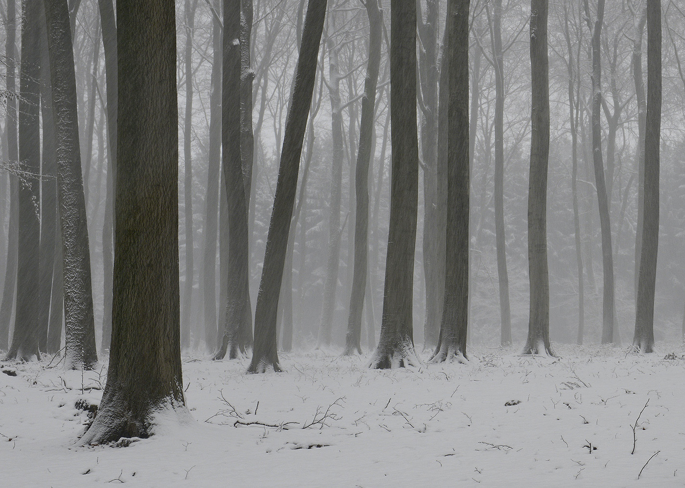 leise rieselt der Schnee