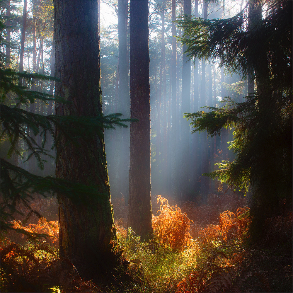 Wärmende Herbstsonne ...