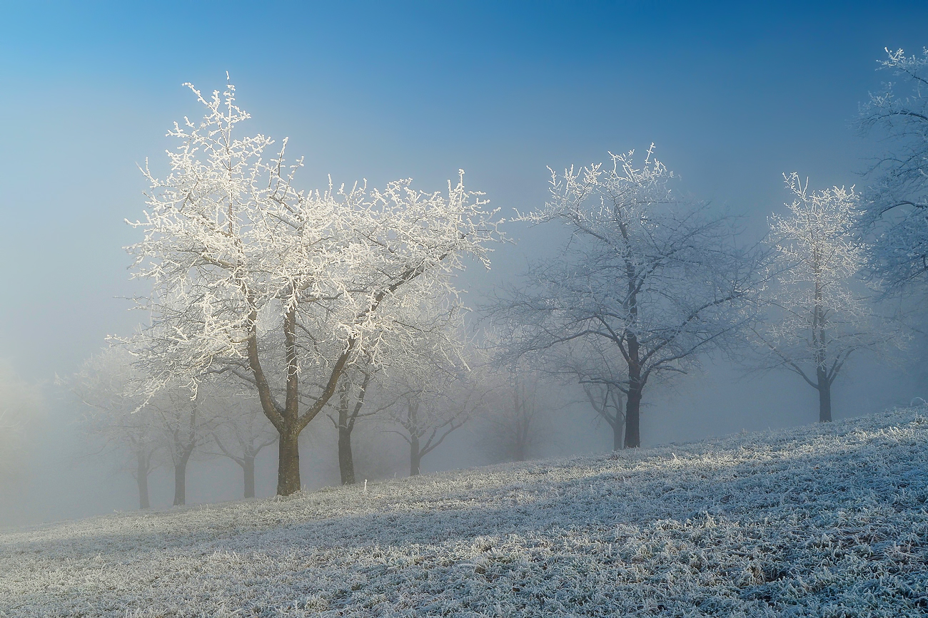 Frostiger Morgen