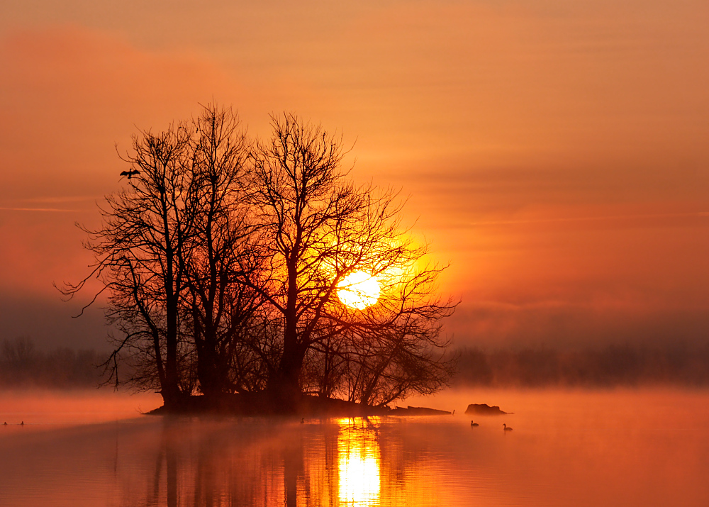 ein goldener Moment